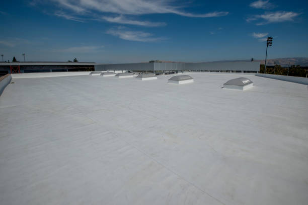 Best Roof Coating and Sealing  in Greenvle, IL
