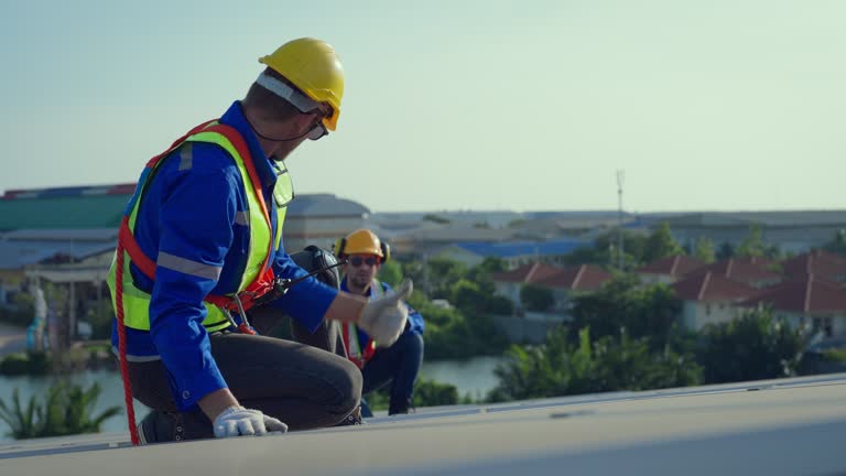 Best Skylight Installation and Repair  in Greenvle, IL
